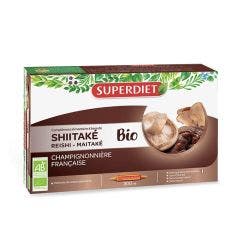 Shiitake biologico 20 fiale Superdiet