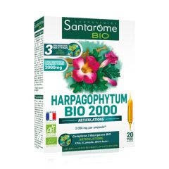 Harpagophytum 2000 20 Ampoules Bio Santarome