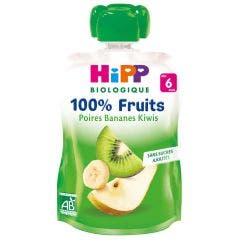 Gourde 100% Fruits Bio A Partir De 6 Mois 90g Hipp