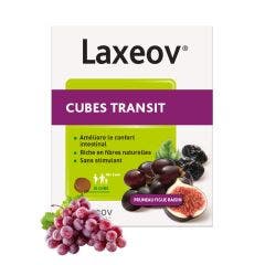 Laxeov Cubes Transit Pruneau Figue Raisin 20 Cubes 20 cubes Laxeov Nutreov