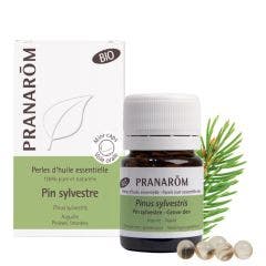 Pino silvestre biologico 60 Perle Les Huiles Essentielles Pranarôm