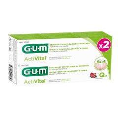 Activital Q10 Dentifrice Gencives Et Dents Saines 2x75ml ActiVital Gum