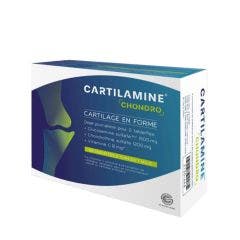 Cartilammina Condro 60 ripiani Cartilagine in forma Effi Science