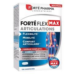Articolazioni Flessibilità Mobilità 120 compresse Forté Flex Forté Pharma