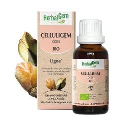Linea Celluligem Organic 30ml Complexes De Gemmotherapie Herbalgem
