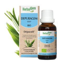 Depuragem Depurativo organico 30ml Complexes De Gemmotherapie Herbalgem