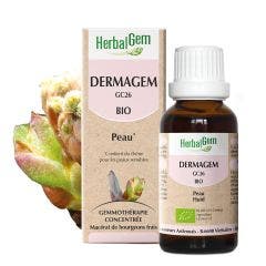 Dermagem Complexe Peau Bio 30ml Complexes De Gemmotherapie Herbalgem
