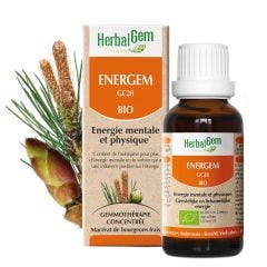 Energem Bio Gouttes 30ml Complexes De Gemmotherapie Herbalgem