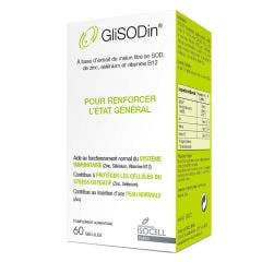 Etat Général 60 gélules Glisodin Isocell