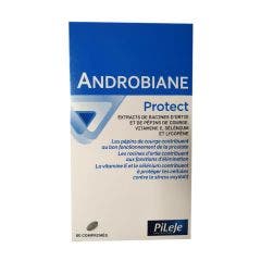 Androbiane Protect 60 Compresse Pileje