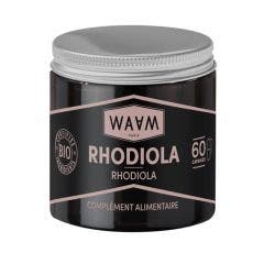 Capsules de Rhodiola Bio 60 capsules Waam