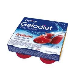 Acqua gelificata 4x120g Gelodiet Delical