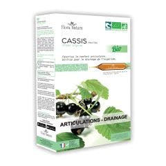 Cassis Bio 20 ampoules Articulations et drainage Flora Natura