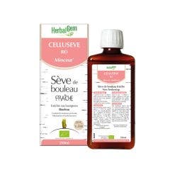 Linfa di Betulla Bio Celluseve Minceur 250ml Herbalgem