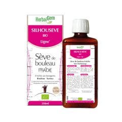 Linfa di Betulla Fragola Bio Fragola Ligne 250ml Herbalgem
