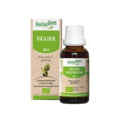 Extrait De Bourgeons Frais De Figuier Bio 30ml Herbalgem
