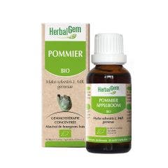 Pommier Bio 30ml Herbalgem