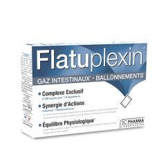 Flatuplexin x16 Sachets De Poudre 3C Pharma