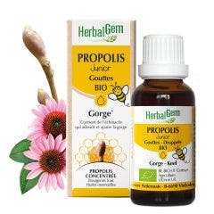 Junior Bio Gouttes Gorge 15ml Propolis Herbalgem