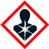 GHS08  - Pericolo per la salute